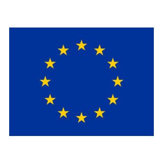 Mini Hissflaggen Kunstseide 25 x 15 cm EU