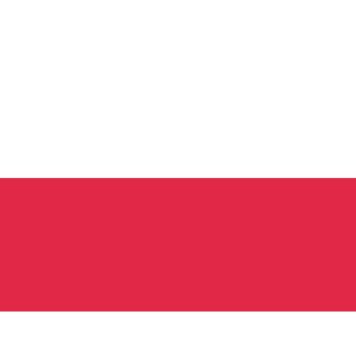 Mini Hissflaggen Kunstseide 25 x 15 cm Polen