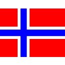 Mini Hissflaggen Kunstseide 25 x 15 cm Norwegen