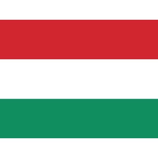 Mini Hissflaggen Kunstseide 25 x 15 cm Ungarn