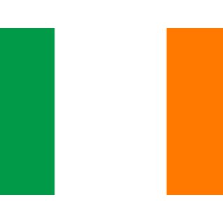Mini Hissflaggen Kunstseide 25 x 15 cm Irland
